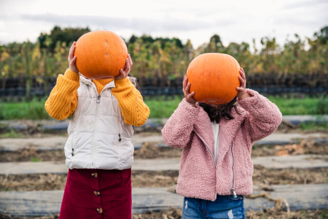 visit a pumpkin patch