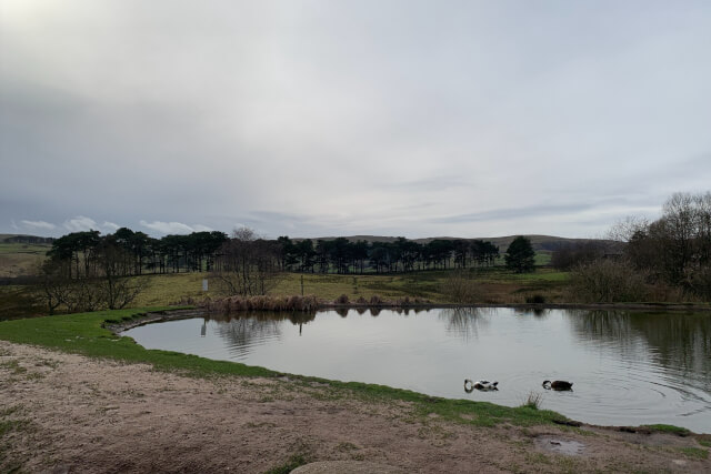 Tebay Services views