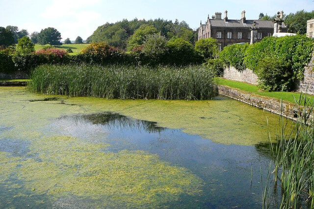 Stonyhurst College Lake