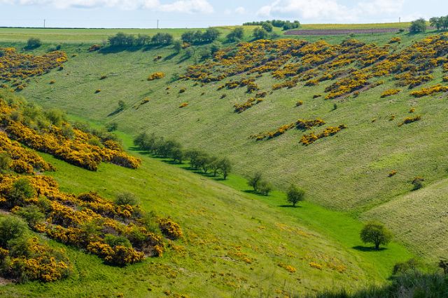 View across the rolling hills of Millington