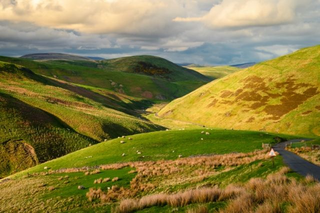 View of the Simonside Hills