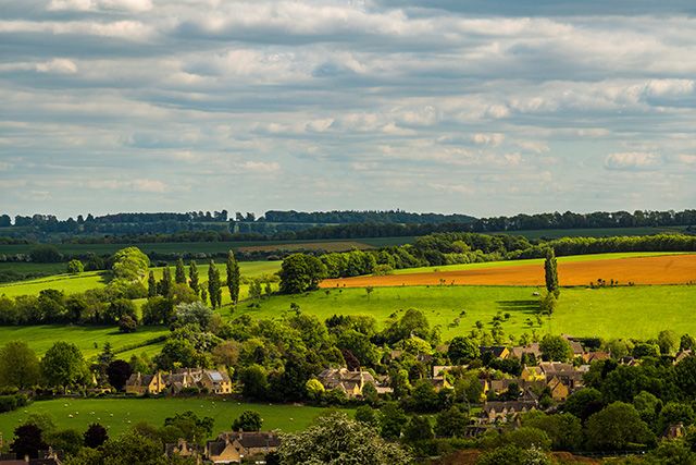 View across the Cotswolds