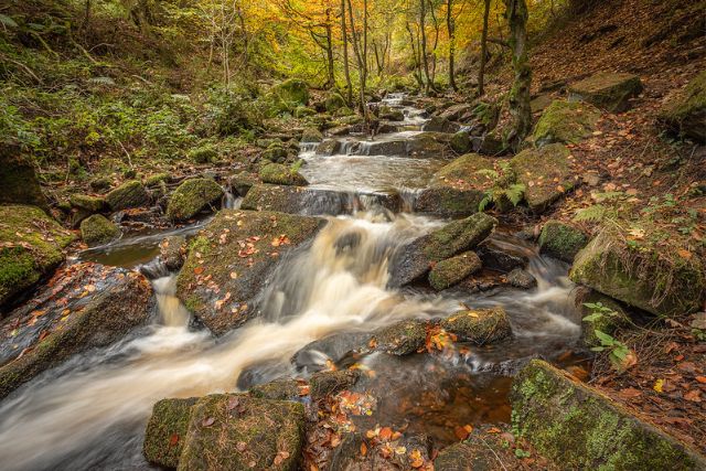 Wyming Brook 