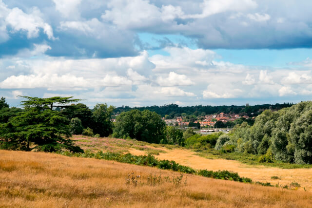 Sutton Hoo