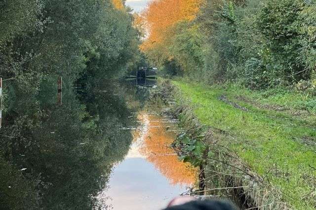 View from a narrowboat on Llangollen canal