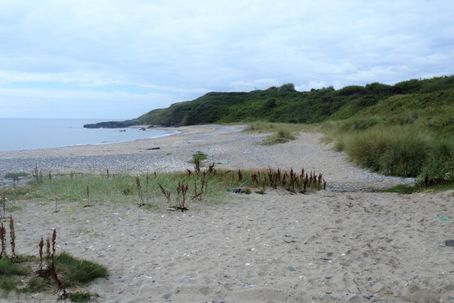 Ennereilly Beach, County Wicklow