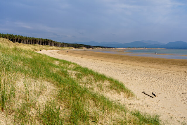 A wide view of the sand dunes leading onto Newborough Beach, with the Snowdonia mountain range visible in the background across the water.