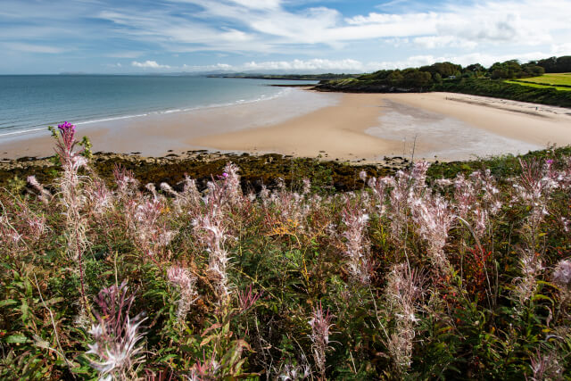 Looking south from the headland over Lligwy Beach (Traeth Lligwy) and Lligwy Bay (Bae Lligwy)