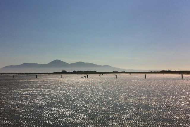 Looking westward across Tyrella Beach on a hazy sunny day, with the outline of the Mourne Mountains visible in the distance