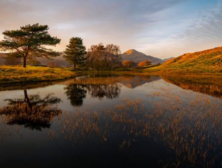 Sykes Holiday Cottages 2024 Impact Report