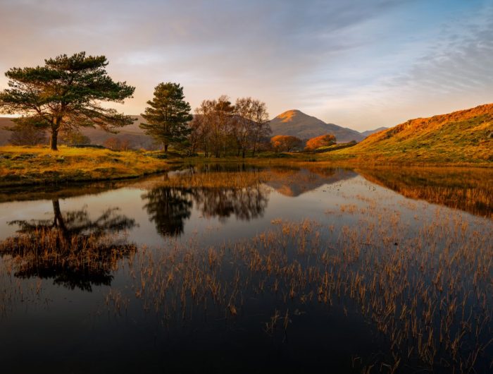 Sykes Holiday Cottages 2024 Impact Report