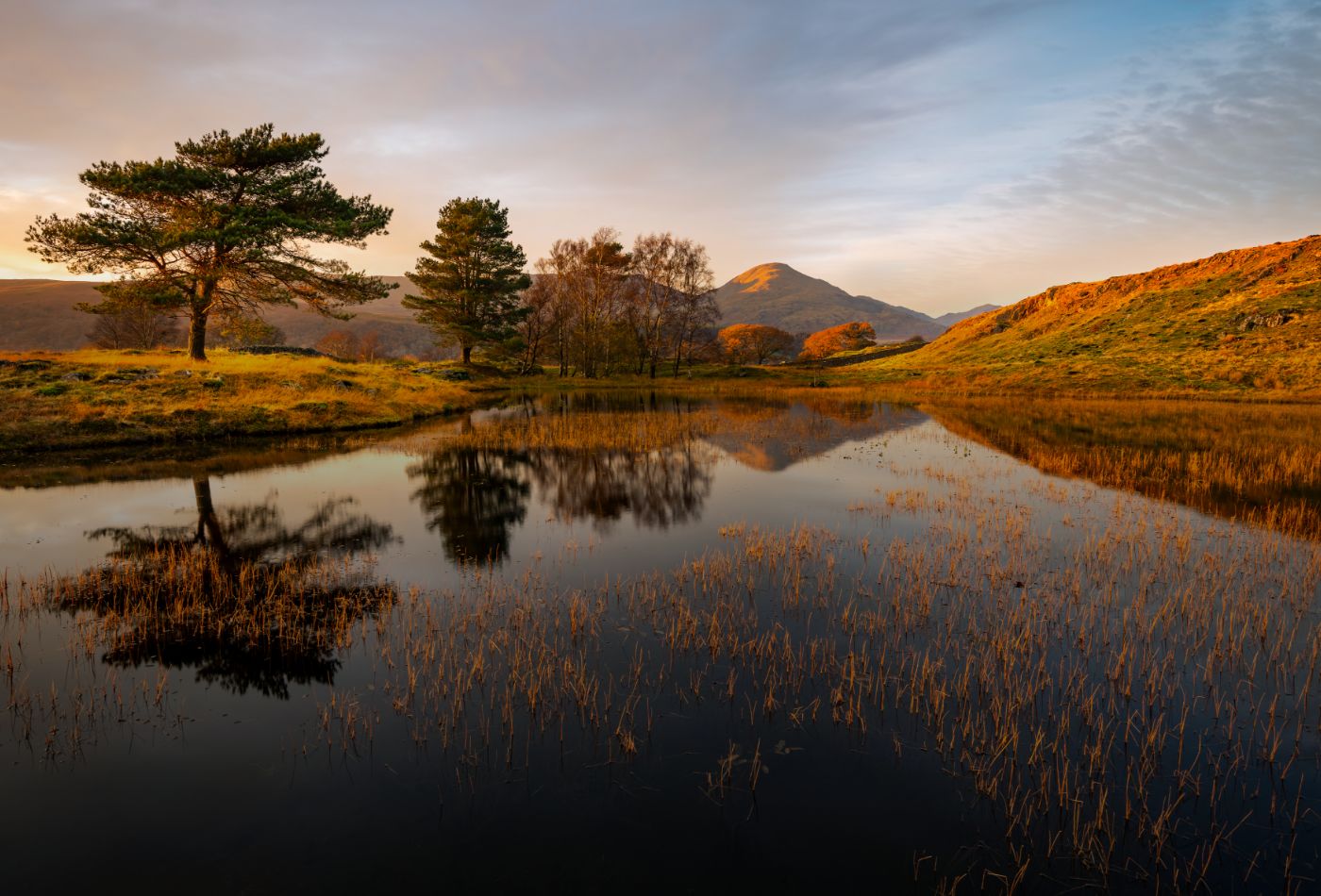 Sykes Holiday Cottages 2024 Impact Report