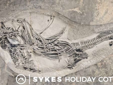 Fossilised skeleton embedded into a cliff face
