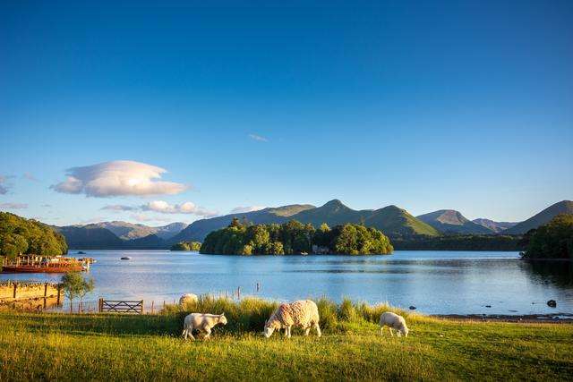 Derwentwater and rolling hills with sheep in rural Keswick in the Lake District, Cumbria.