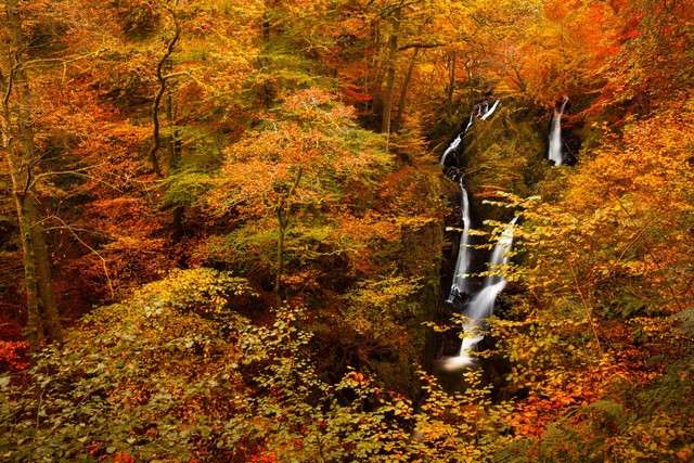 autumnal image of Stock Ghyll Force