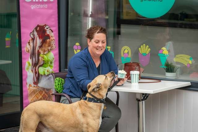 SSD Alliance - Gowan Miller & Otis the dog