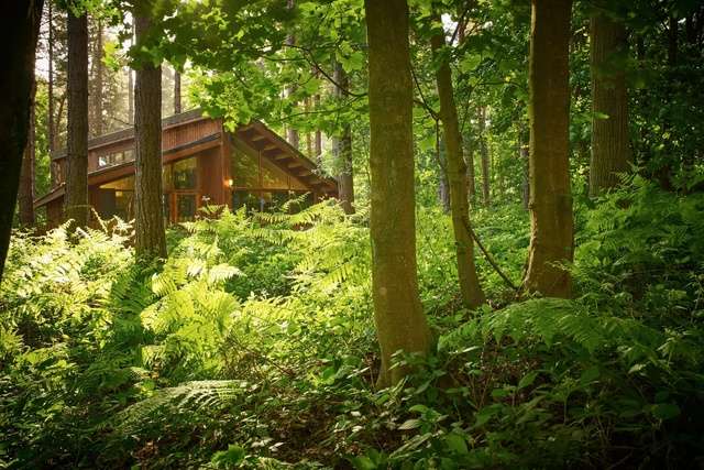 Exterior of Forest of Dean Golden Oak Hideaway (Ref. 1146611).