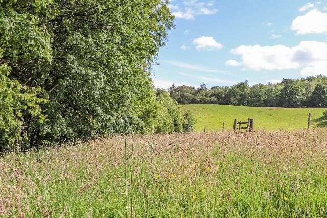 the owl shack grounds