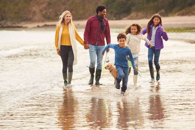A family walking along the shore.