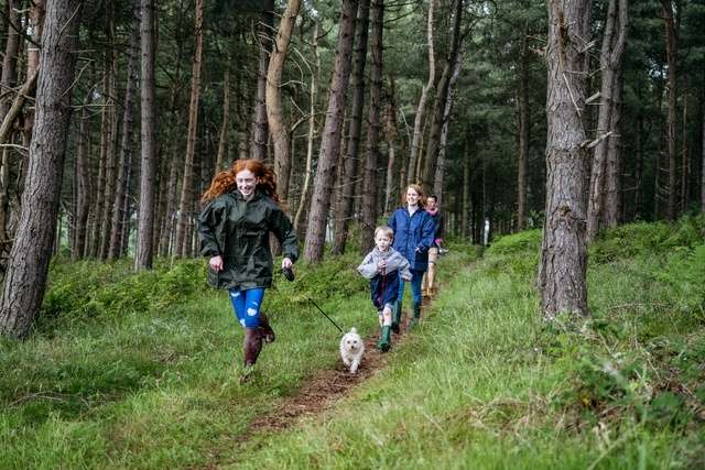 A family walking dog through a forest.