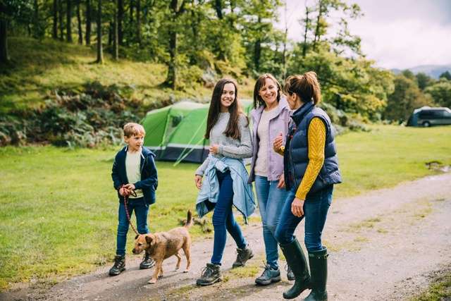 the best holiday parks in the UK: dog-friendly holiday parks