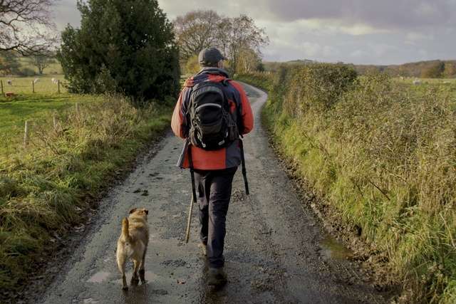 A hiker and dog walking in the countryside.