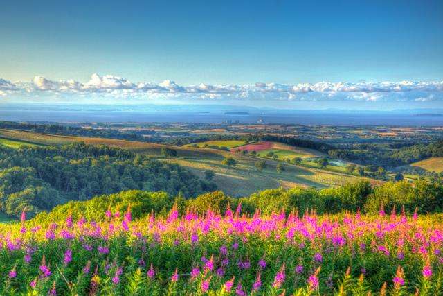 Quantock Hills, Somerset