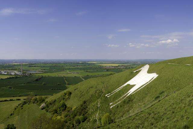 wiltshire horse