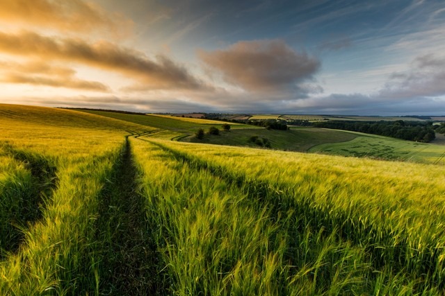 Louth countryside.