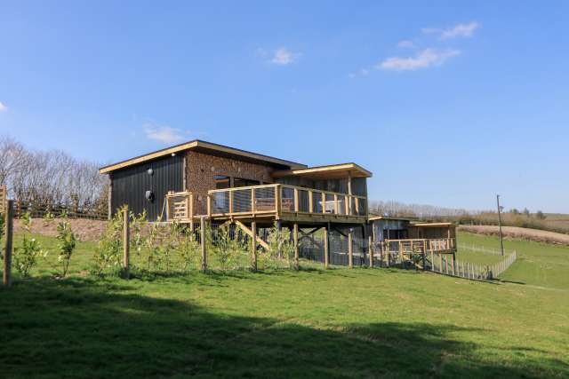 Bryn Hafod (Ref. 1114633)