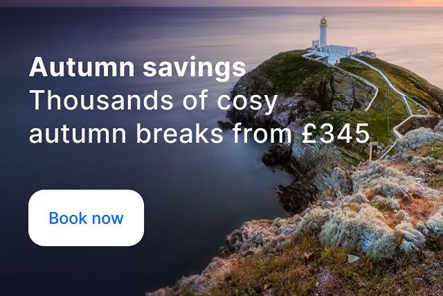 Autumn Savings