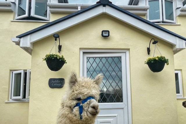Saddlers Cottage, Berllandeg Farm (Ref. 5396)