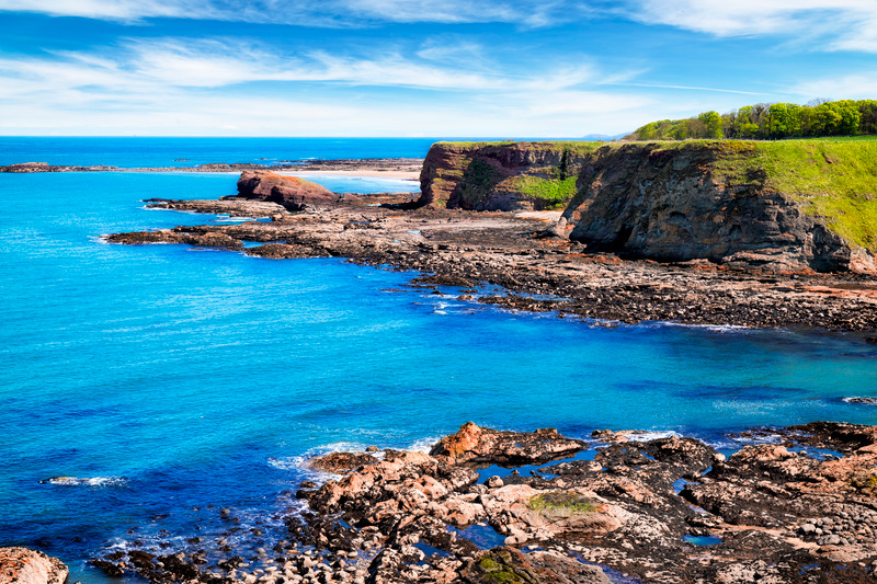 Sea Cliffs by Oxroad Bay, North Berwick, East Lothian, Scotland, UK