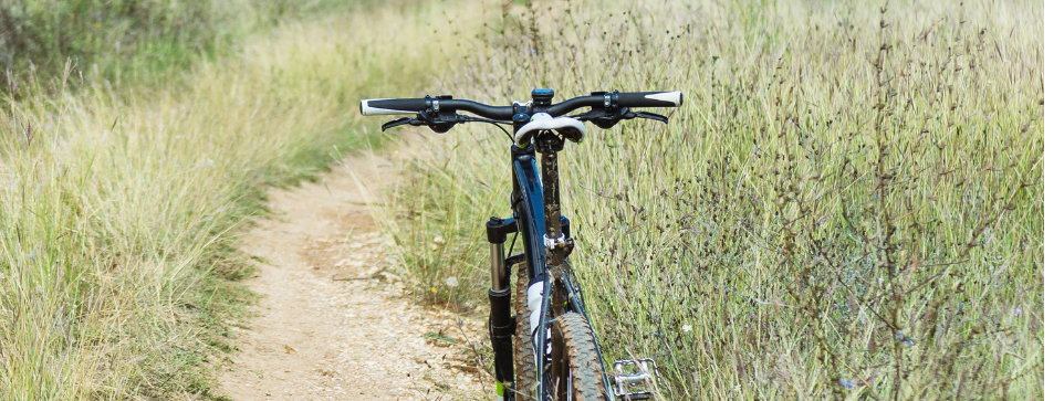 Bicycle placed on a narrow dirt path winding through tall grass in a peaceful field on a sunny day.