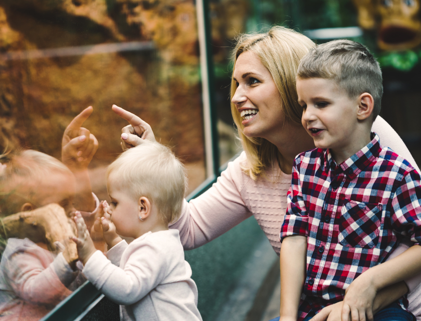 Mother and two young children smiling and pointing at aquatic life through the glass at an aquarium exhibit. A visit to the zoo is a popular rainy day activity in Cornwall for visitors and locals.