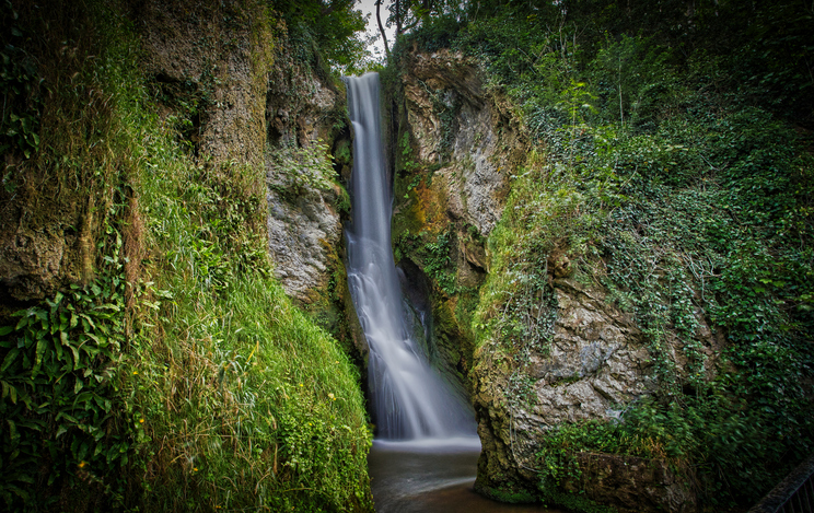 Serene and secluded waterfall surrounded by greenery.