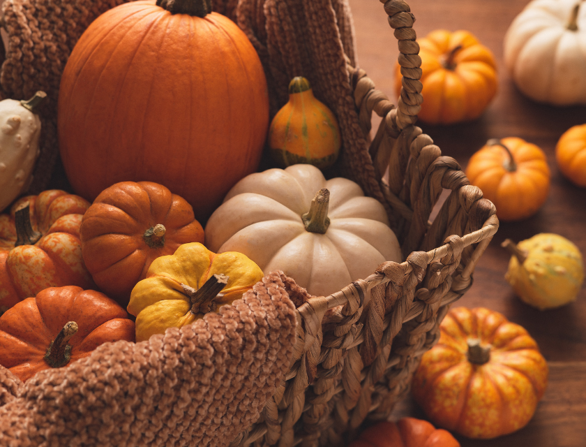 Basket full of pumpkins and gourds on a table.