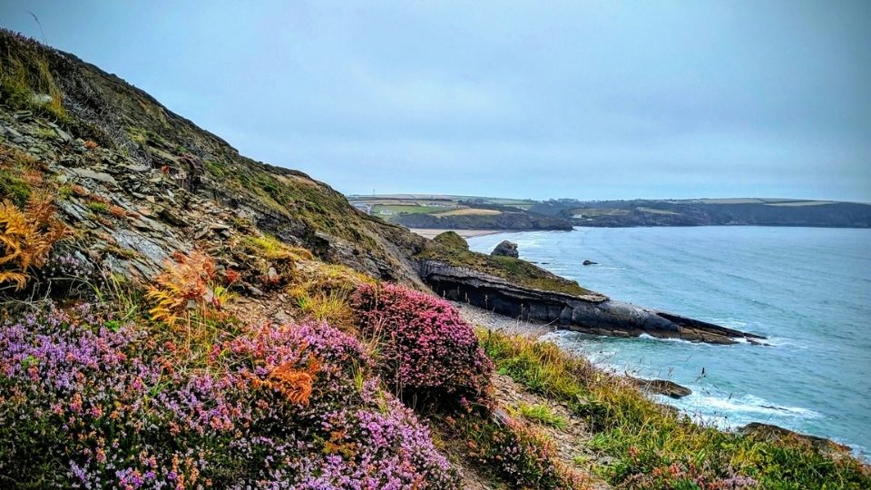 Pembrokeshire views.