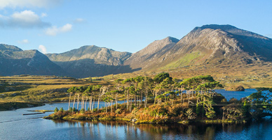 Shancroagh & County Galway image