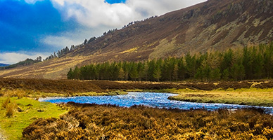 Cairngorms & Aviemore image