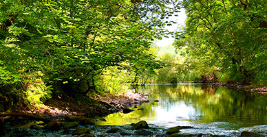 Dumfries & Galloway image