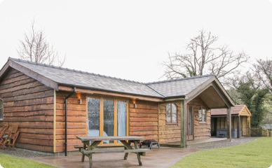 log cabin breaks with dogs