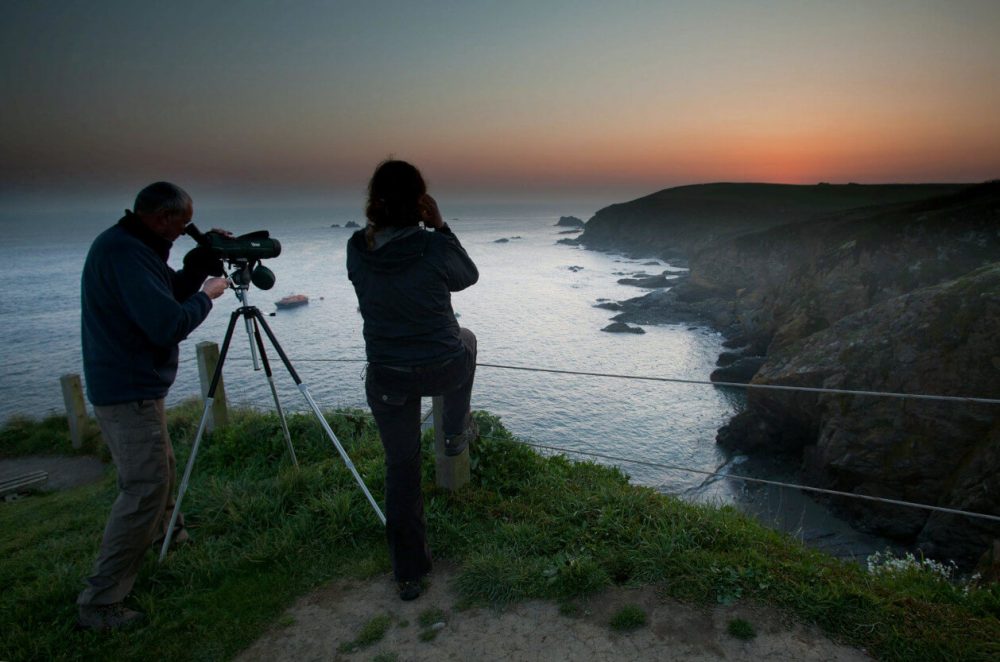 Silhouette of photographers on the Lizard Peninsula at dusk