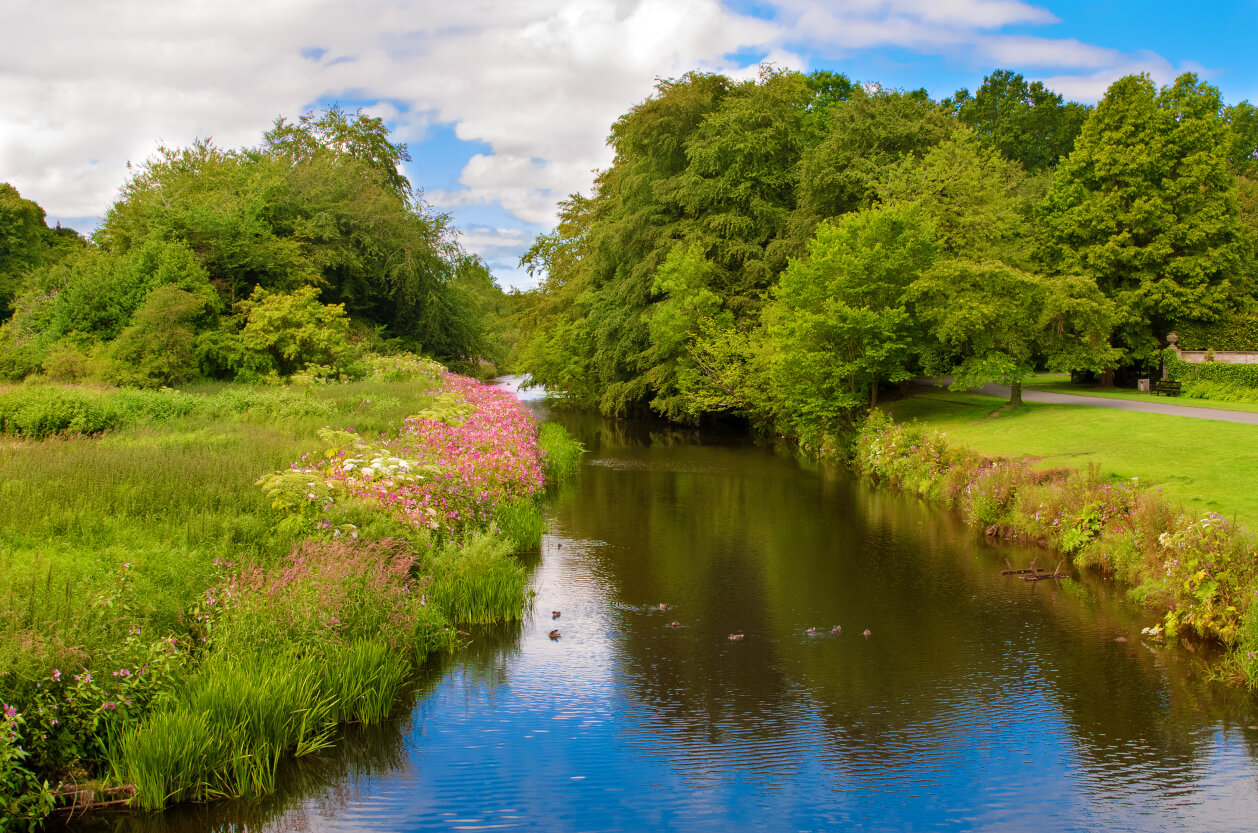 Alyn Waters Country Park, Feature