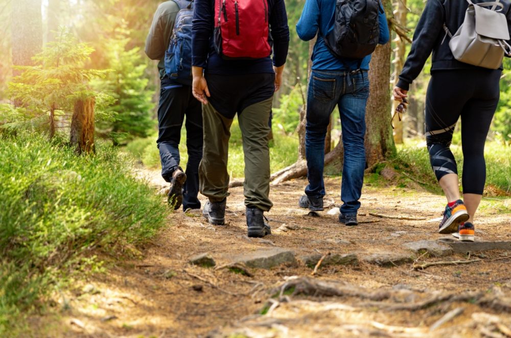 Nature adventures - group of friends walking in forest with backpacks