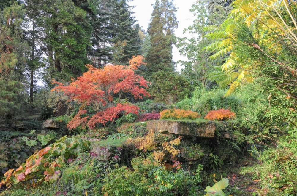 Batsford Arboretum