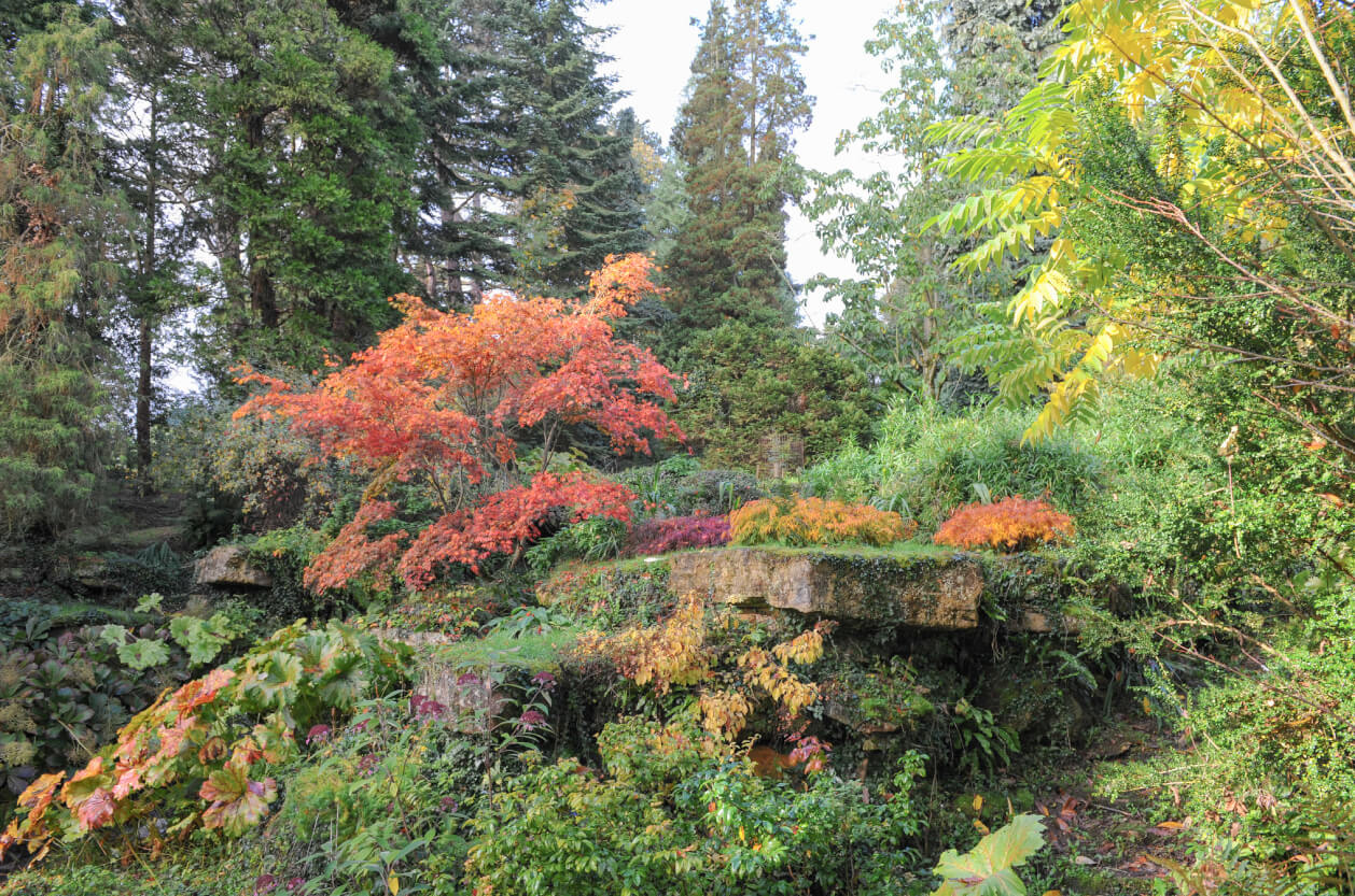 Batsford Arboretum