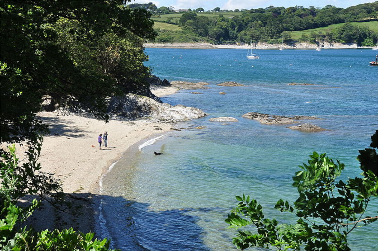 Beach at Bosahan Cove