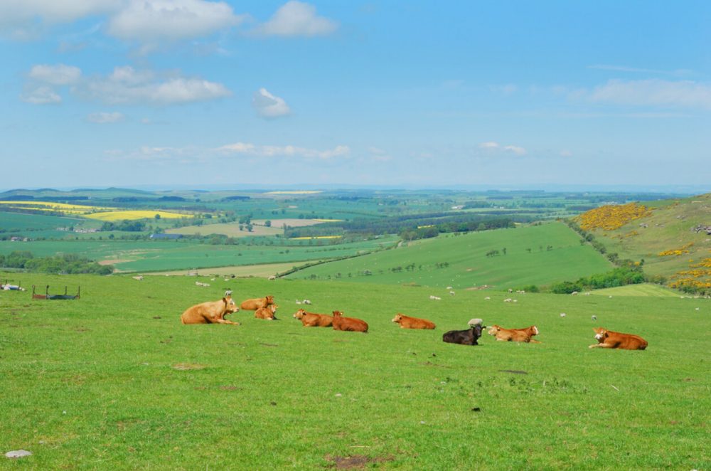 belford northumberland