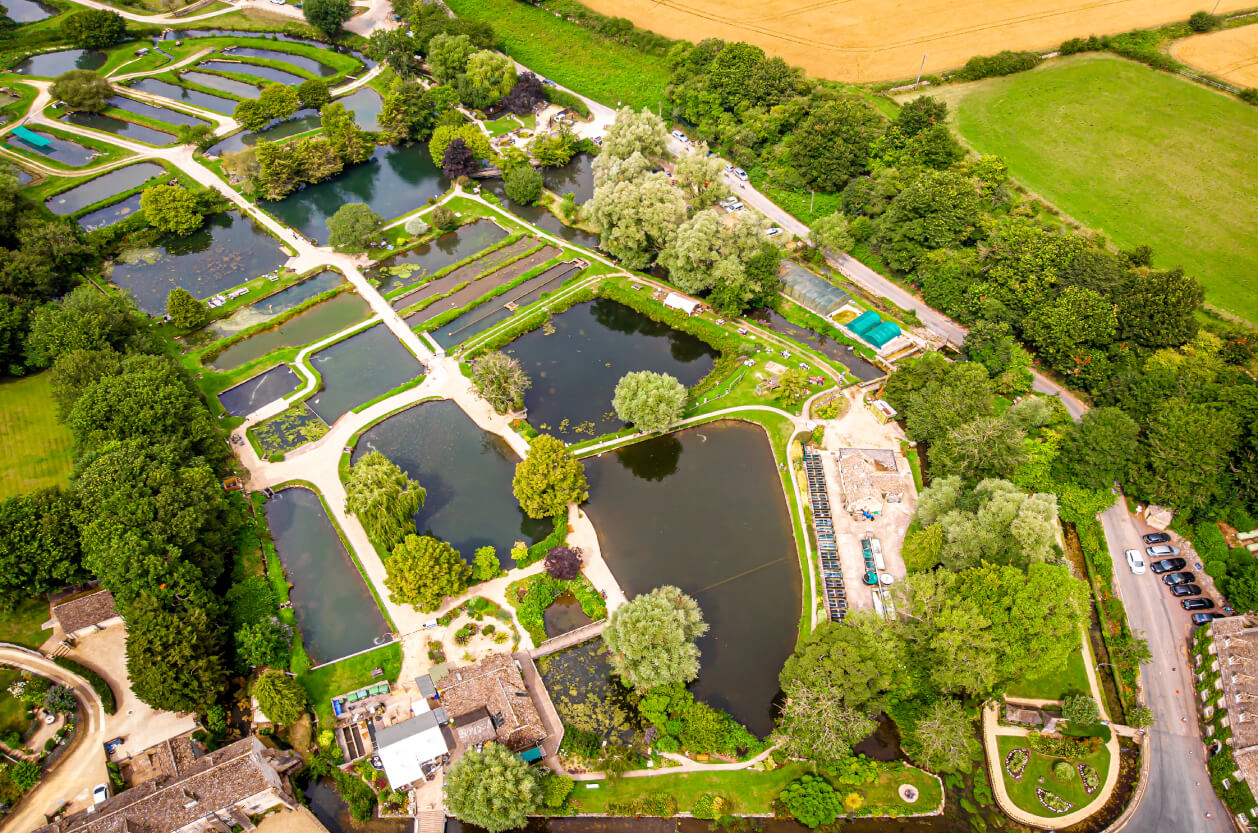 Bibury Trout Farm